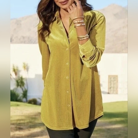 Soft Surroundings NWT Amber Textured Ribbed Velvet Boyfriend Tunic Shirt. - Picture 1 of 12